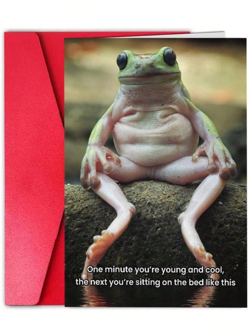 Humorous Frog Greeting Card w Red Envelope